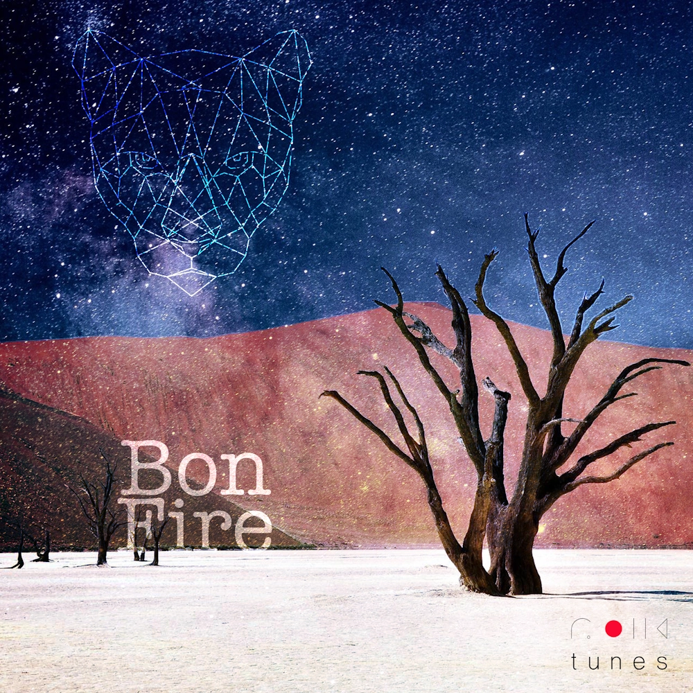 Bonfire
